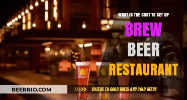 Crafting Your Dream: The Financial Guide to Starting a Brew Beer Restaurant