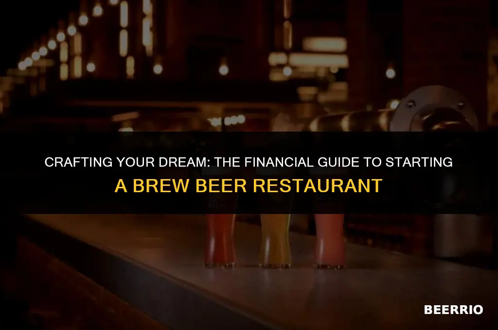 what is the cost to set up brew beer restaurant