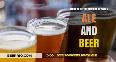 Exploring the Flavorful Divide: Ale vs. Beer Unveiled