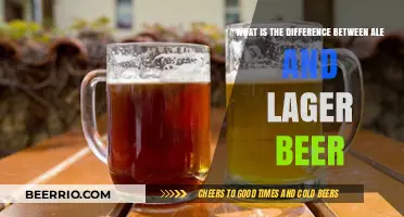 Exploring the Distinctive Flavors: Ale vs. Lager Beer