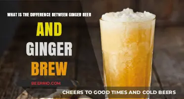 Exploring the Fizzy Frontier: Ginger Beer vs. Ginger Brew