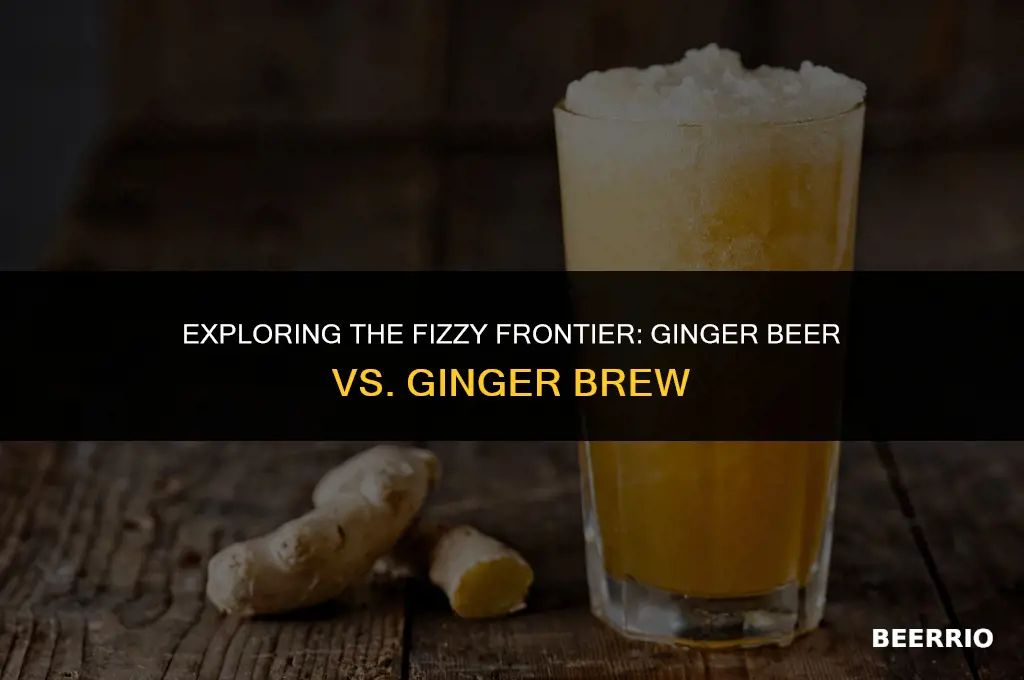 what is the difference between ginger beer and ginger brew