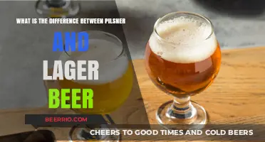 Exploring the Crisp Distinctions Between Pilsner and Lager Beers