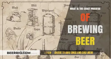The Art of Brewing: A Step-by-Step Guide to Crafting Beer