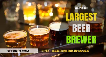 Exploring the Largest Beer Brewer: A Comprehensive Guide