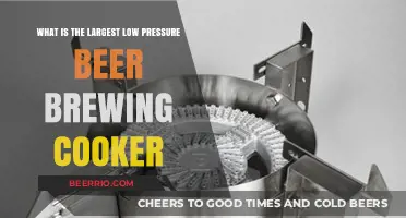 Exploring the Largest Low-Pressure Beer Brewing Cookers: A Comprehensive Guide