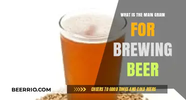 Exploring the Core Grain: A Guide to Beer's Primary Ingredient