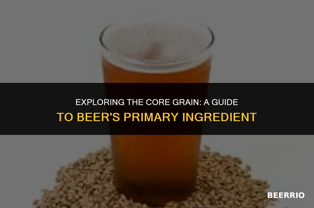 what is the main grain for brewing beer