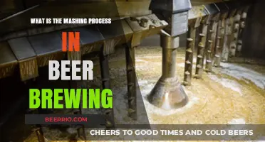 Unveiling the Art of Mashing in Craft Beer Brewing