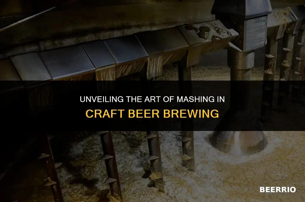 what is the mashing process in beer brewing