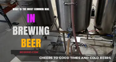 Unveiling the Most Common Mistakes in Homebrewing: A Beginner's Guide