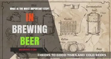 Mastering the Art of Brewing: The Crucial Step You Can't Skip