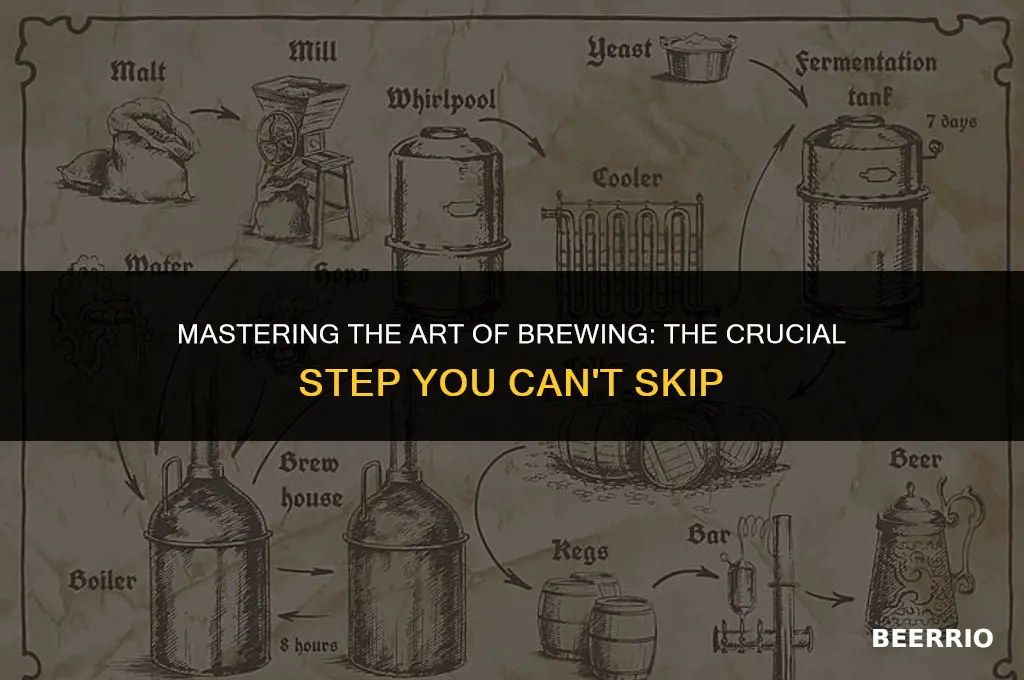 what is the most important stept in brewing beer
