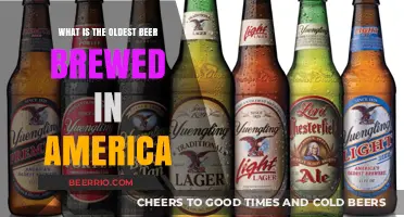 Exploring the Roots: America's Oldest Brewed Beer Uncovered