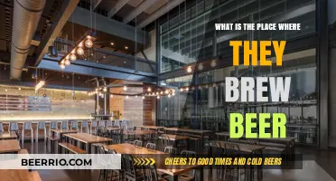 Exploring the Heart of Brewing: Inside a Beer Brewery