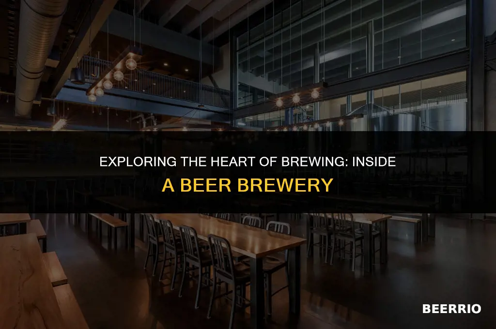 what is the place where they brew beer