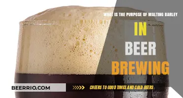 Unlocking Flavor: The Essential Role of Malting Barley in Crafting Beer