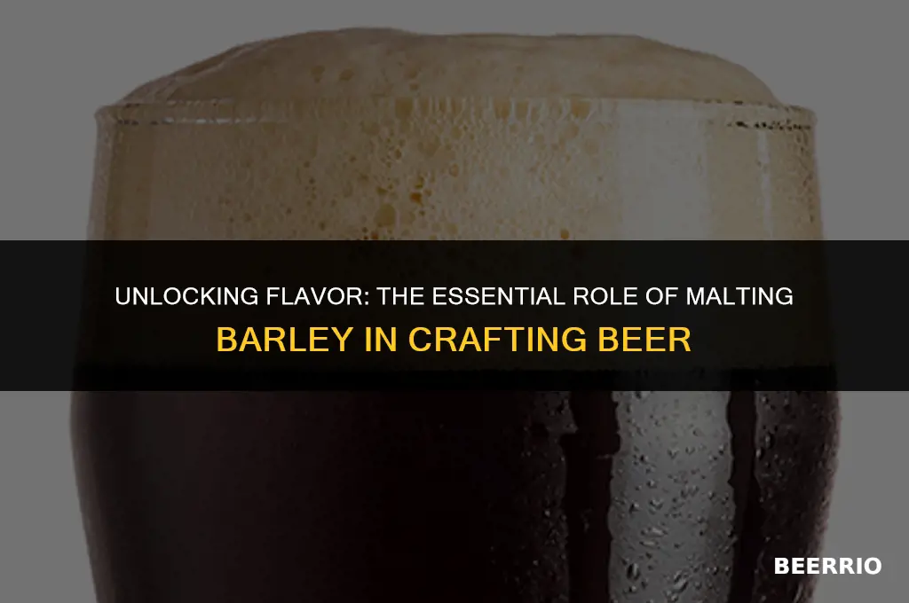 what is the purpose of malting barley in beer brewing