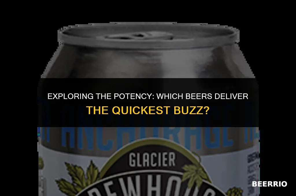 what kind of beer gets you drunk the quickest
