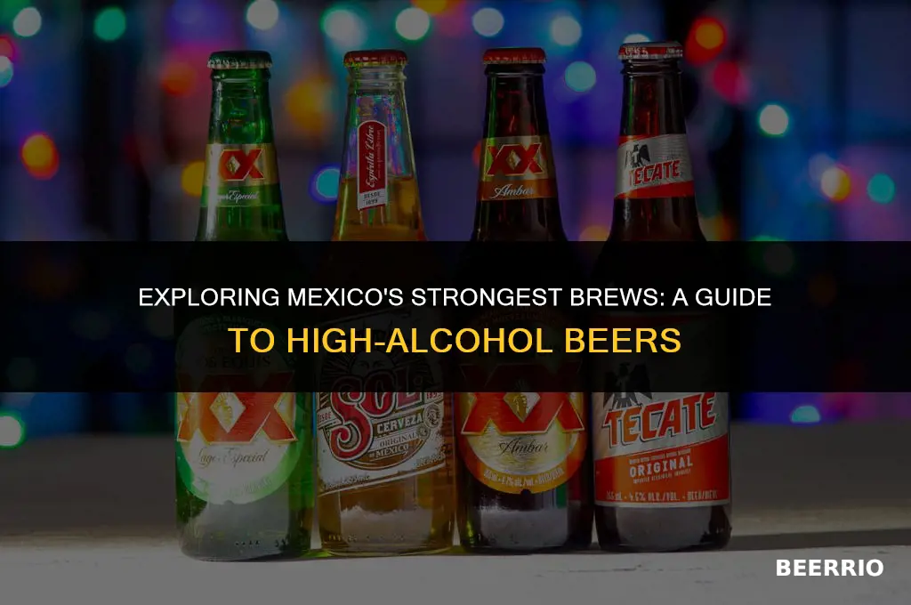 what mexican beer has the highest alcohol content