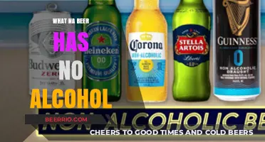 Exploring Non-Alcoholic Beer Options: A Guide to NA Brews