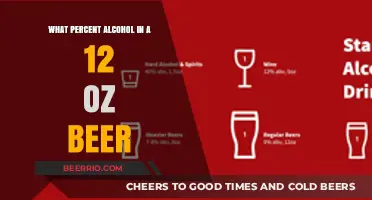 Exploring the Alcohol Content in Your Favorite 12 oz Beers