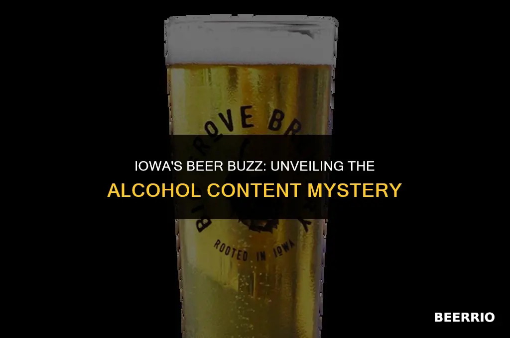 what percent alcohol is beer in iowa