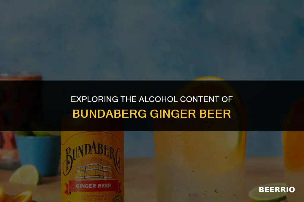 what percent alcohol is bundaberg ginger beer