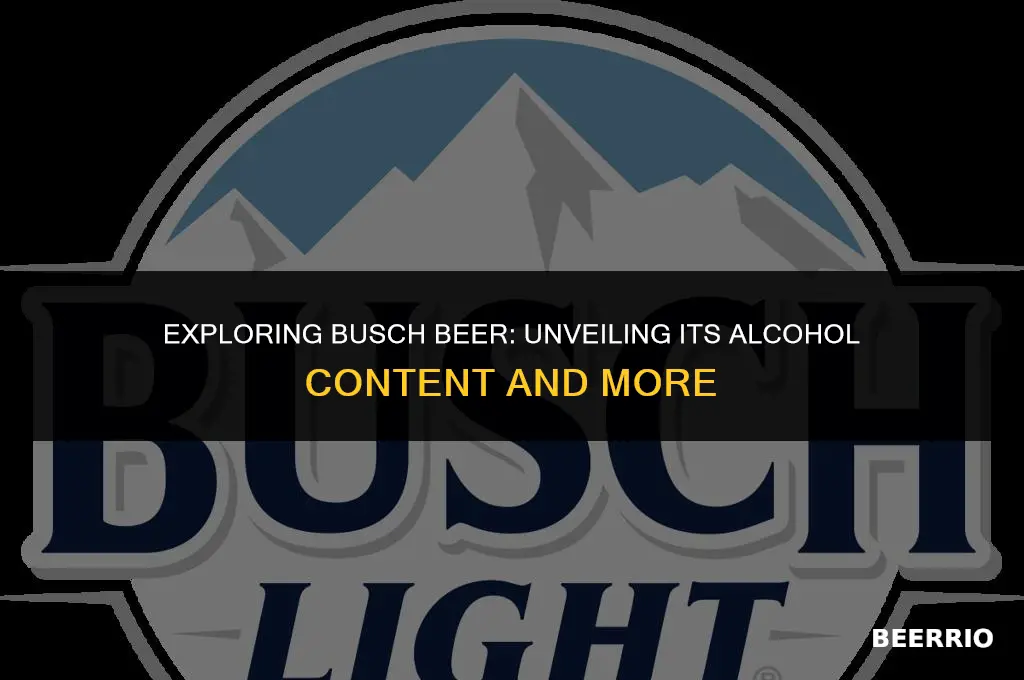 what percent alcohol is busch beer