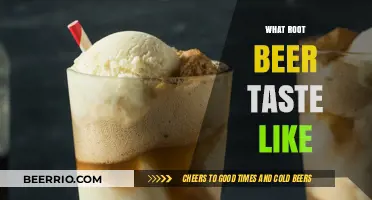Exploring the Rich Flavor Profile of Root Beer: A Taste Journey