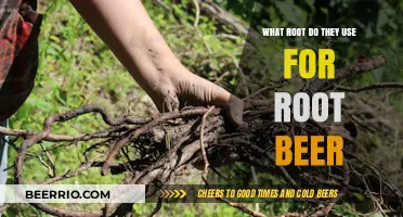 Exploring the Surprising Roots of Root Beer: A Flavorful Journey