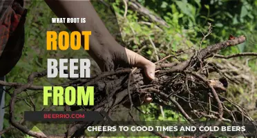 Unveiling the Surprising Origins of Root Beer: A Flavorful Journey