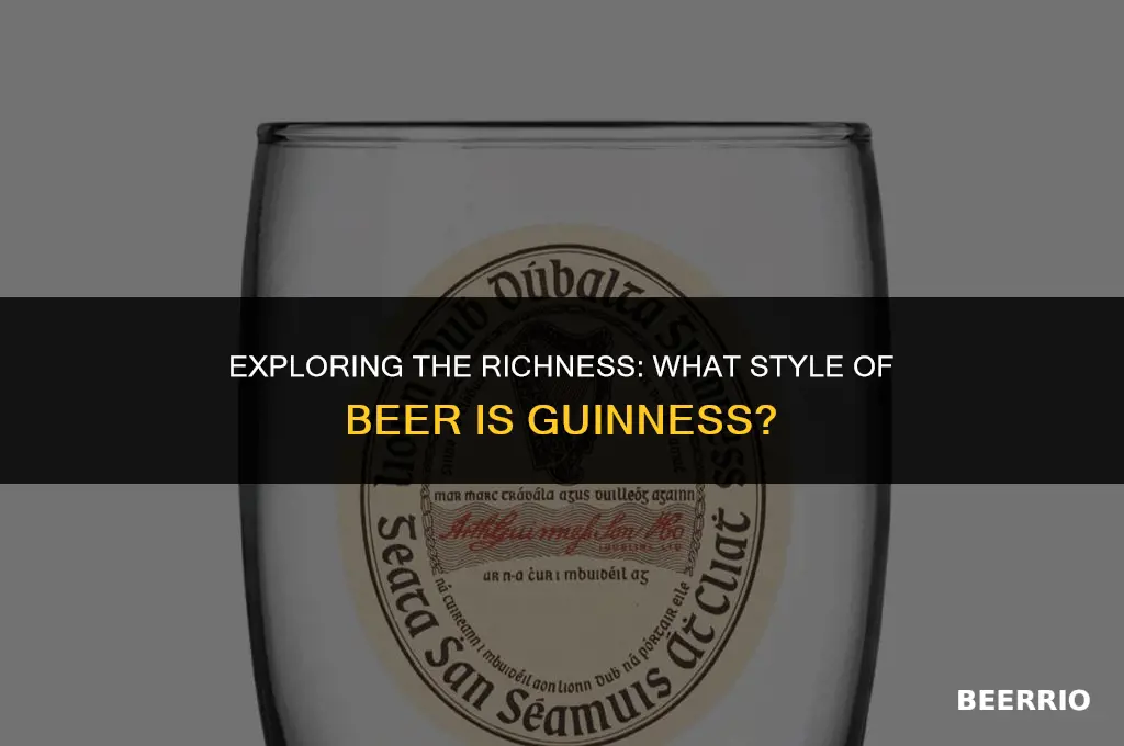 what style of beer is guinness