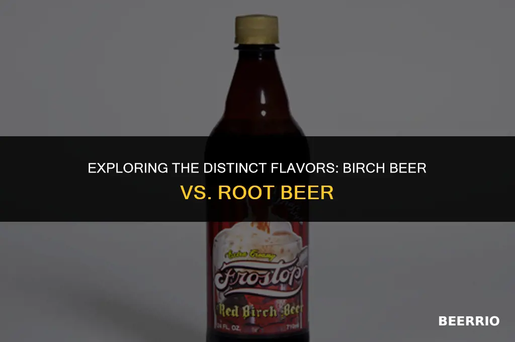 what the difference between birch beer and root beer