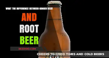 Exploring the Fizzy Frontier: Ginger Beer vs. Root Beer