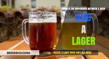 Exploring the Distinctions: Beer vs. Lager
