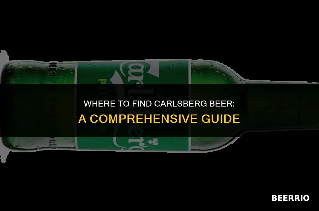 where can i buy carlsberg beer