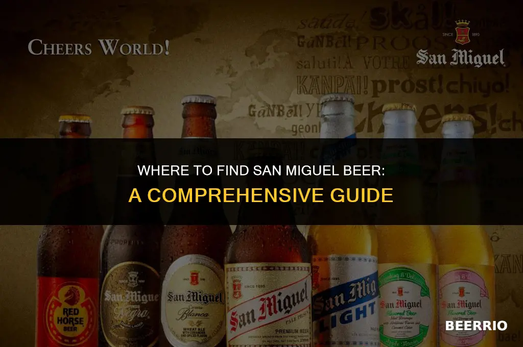 where can i buy san miguel beer