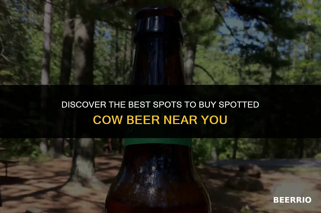 where can i buy spotted cow beer
