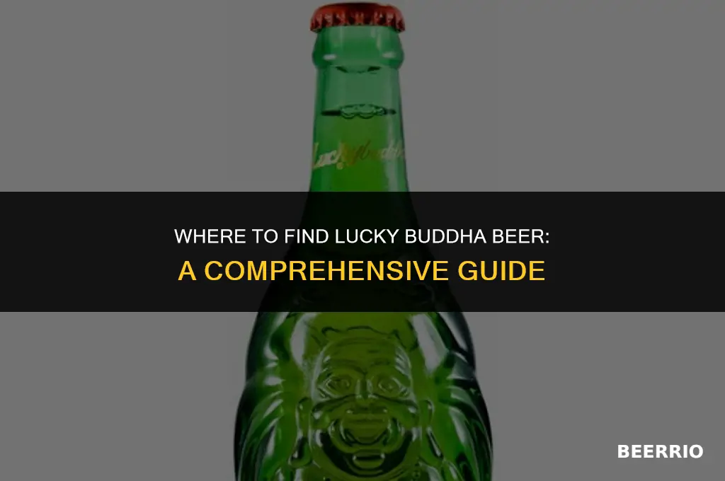 where can you buy lucky buddha beer