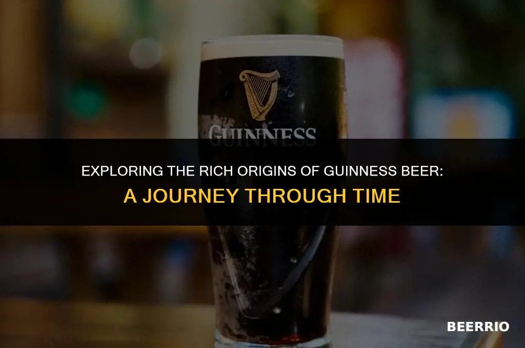 where does guinness beer come from