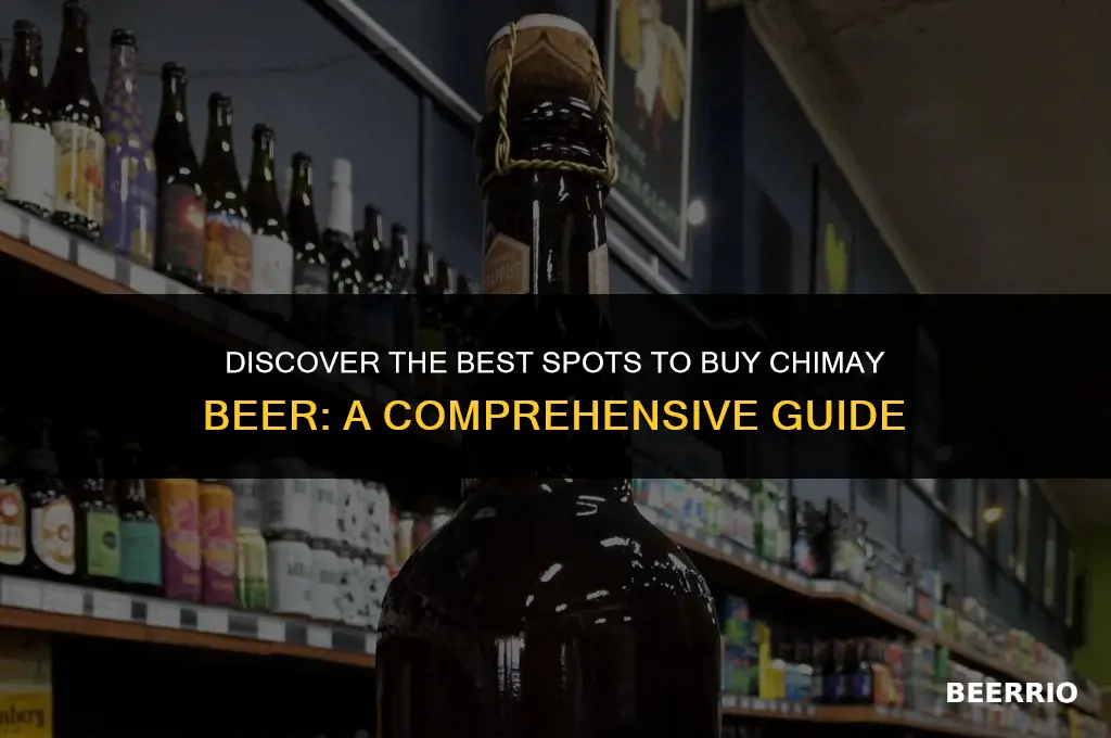 where to buy chimay beer