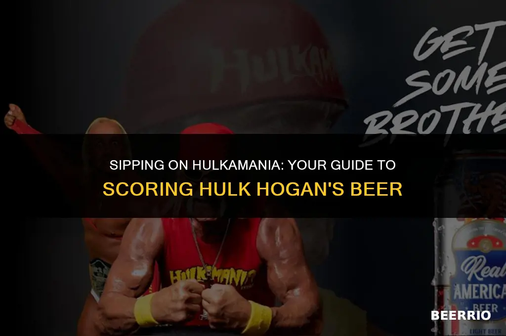 where to buy hulk hogan beer
