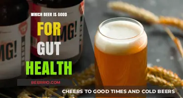Sipping for Wellness: The Gut-Friendly Beer Guide