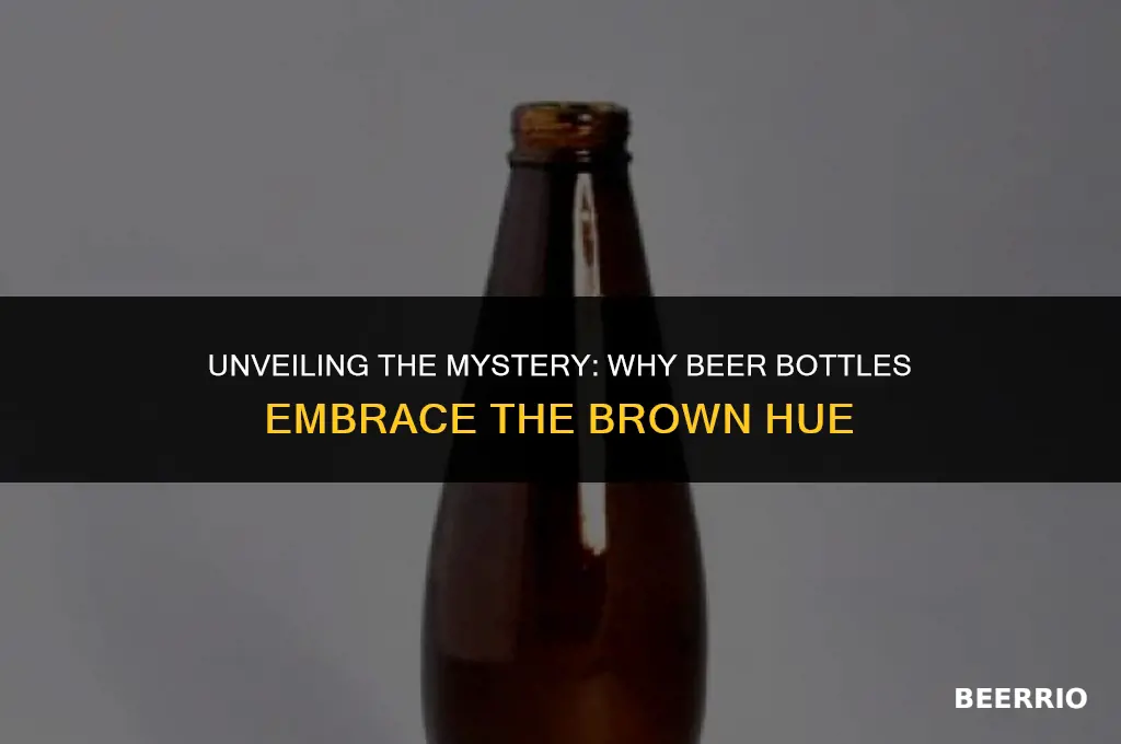 why are beer bottles brown