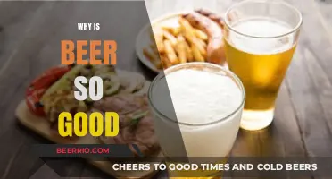 Exploring the Irresistible Charm of Beer: A Connoisseur's Delight