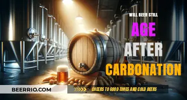 The Aging Process of Beer Post-Carbonation: A Comprehensive Guide