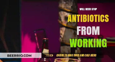 Will Beer Interfere with Antibiotics? Facts You Need to Know