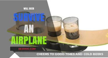 Will Beer Survive an Airplane: The Ultimate Guide for Traveling Brewers