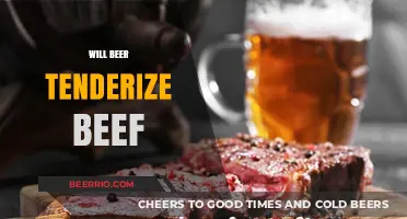 Exploring the Myth: Can Beer Really Tenderize Your Beef?